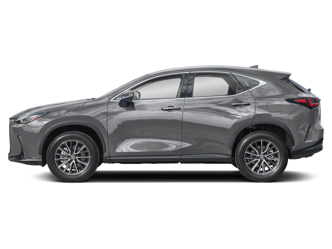 2024 Lexus NX 250 Premium photo 2