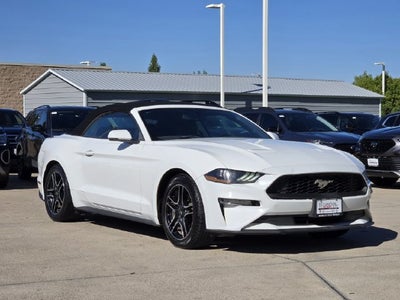 2019 Ford Mustang EcoBoost Premium
