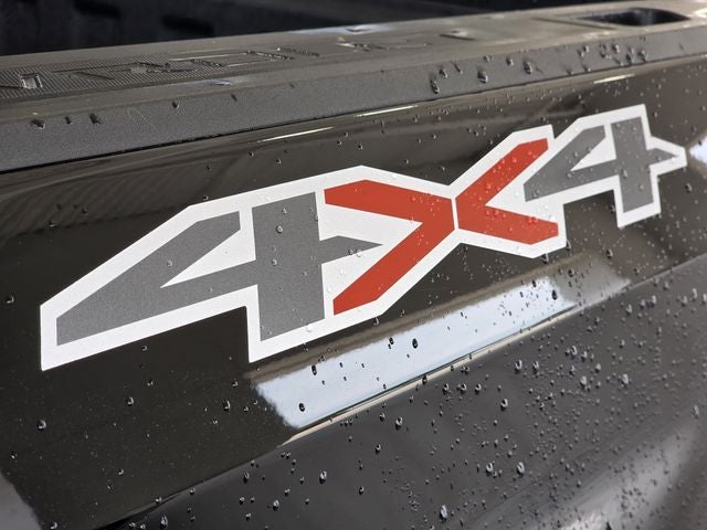 2024 Chevrolet Silverado 1500 LT Texas Edition
