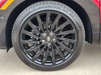 2024 Hyundai Santa Fe Calligraphy