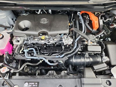 2025 Toyota Sienna Woodland Edition 7 Passenger