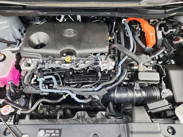 2025 Toyota Sienna Woodland Edition 7 Passenger