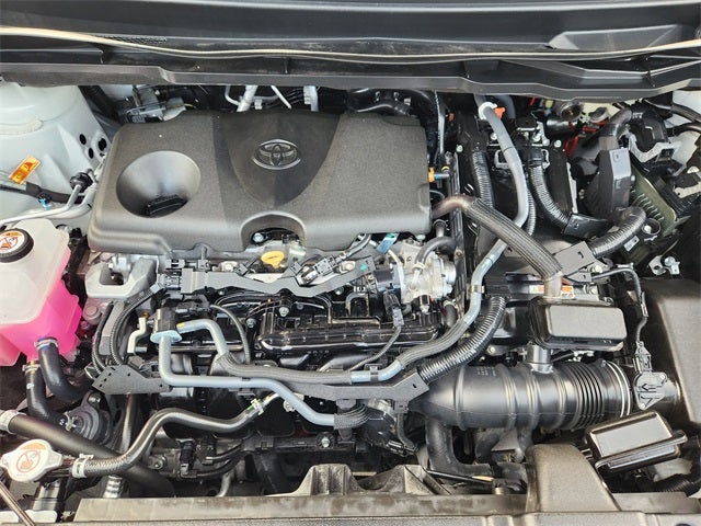 2025 Toyota Sienna XLE 7 Passenger