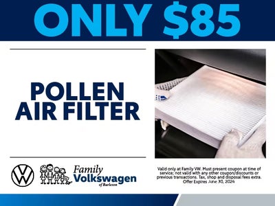 Air Pollen Filter Special